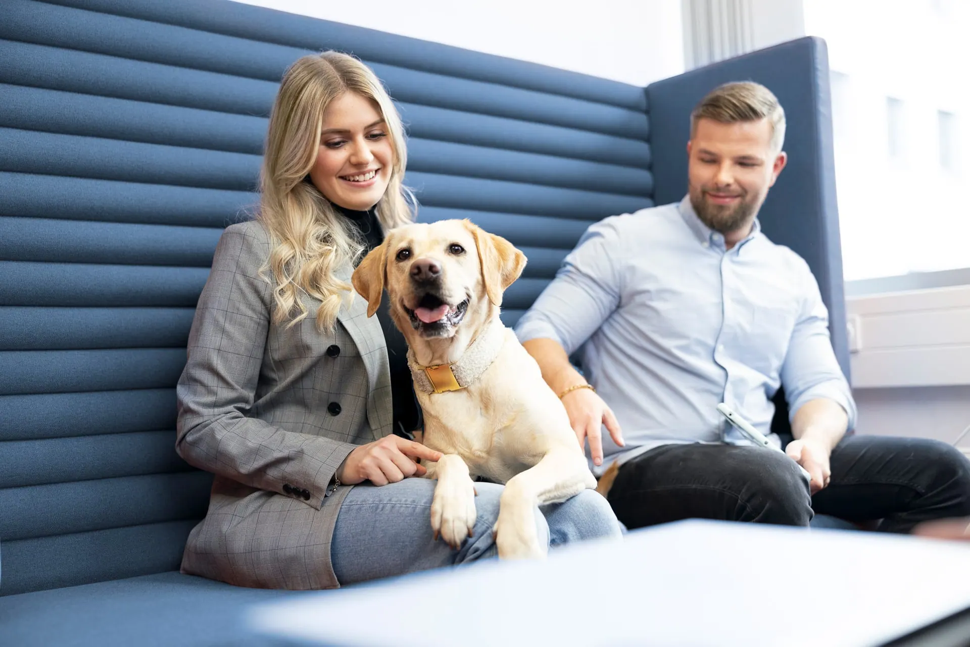 Zwei Mitarbeitende sitzen mit einem Labrador auf einem Bürosofa