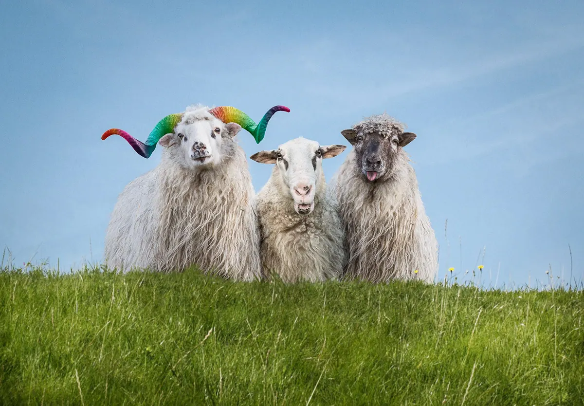 Grüne Kampagne