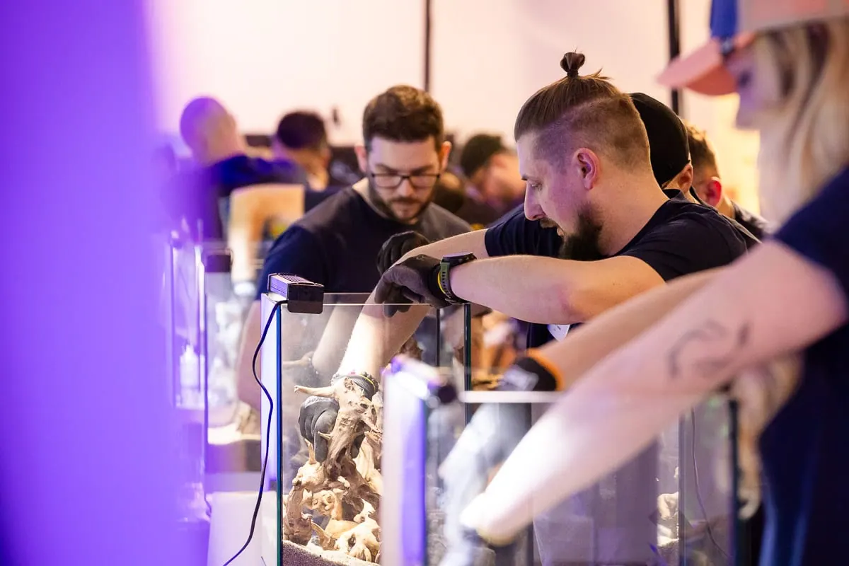Teilnehmer arbeiten unter violettem Licht an einem Aquarium