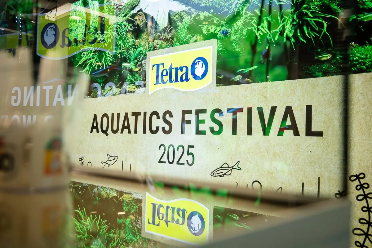 Beschilderung des Aquatics Festival 2025