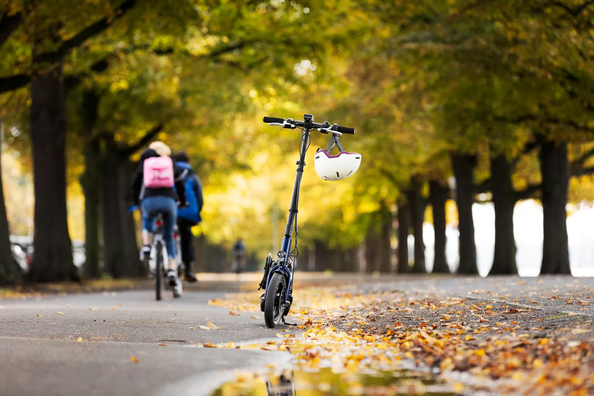 Allee mit E-Scooter-Fahrern von hinten